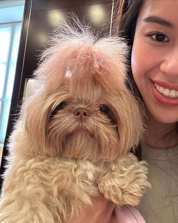 Mặt mộc đã nét nào ra nét đó nên khi trang điểm lên Tiên Nguyễn lại càng ấn tượng hơn.