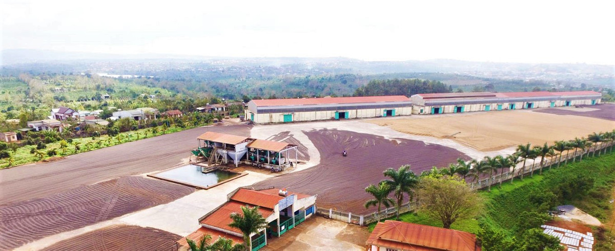 CADA danh dau tram nam thanh lap voi tuyet tac di san ca phe Fine Robusta-Hinh-2