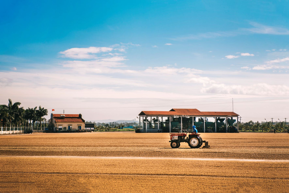 CADA danh dau tram nam thanh lap voi tuyet tac di san ca phe Fine Robusta-Hinh-3