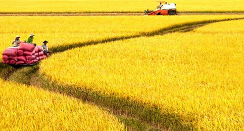 De xuat bo sung, hoan thien chinh sach, phap luat dat dai phat trien nong nghiep, nong thon theo huong hien dai, ben vung trong boi canh moi