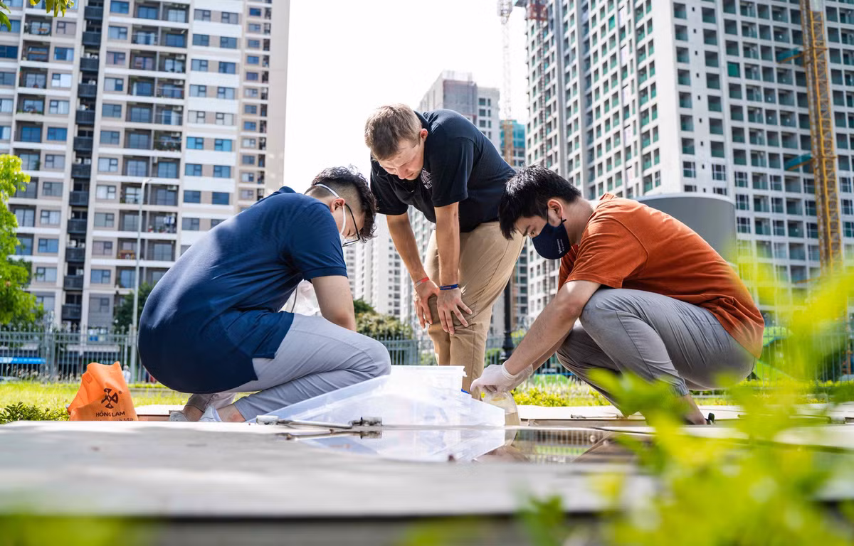 Nghiên cứu ở bậc đại học càng sớm càng tốt, Vì sao và Như thế nào? - Hình 2 Nghien cuu o bac dai hoc cang som cang tot, Vi sao va Nhu the nao?-Hinh-2