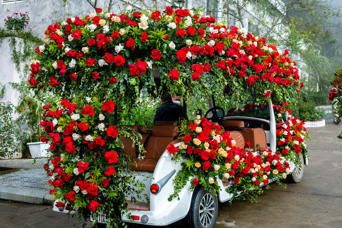 Sieu trai nghiem tai “Xu so hoa hong trong may” ruc ro nhat Tay Bac-Hinh-2