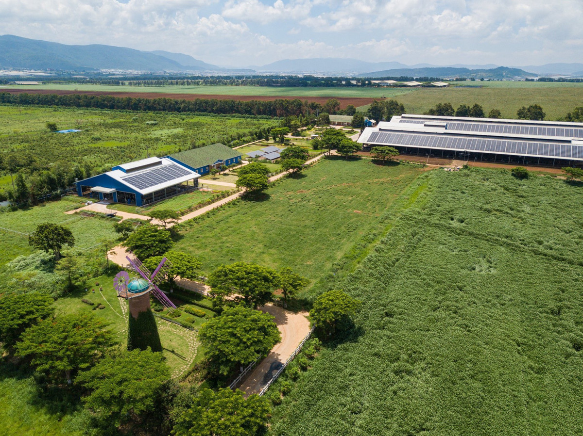 Cum trang trai bo sua Vinamilk Da Lat duoc vinh danh tai giai thuong moi truong Viet Nam-Hinh-3