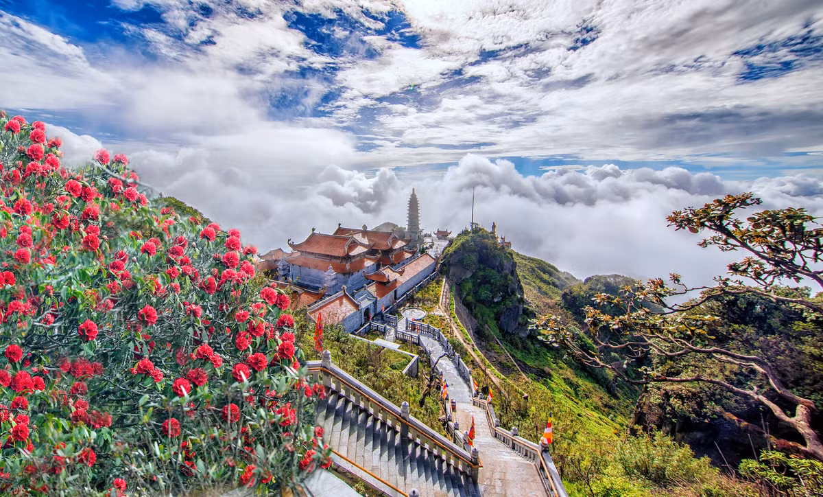 Cong vien da trong mot “dat xat ra mieng“-Hinh-3