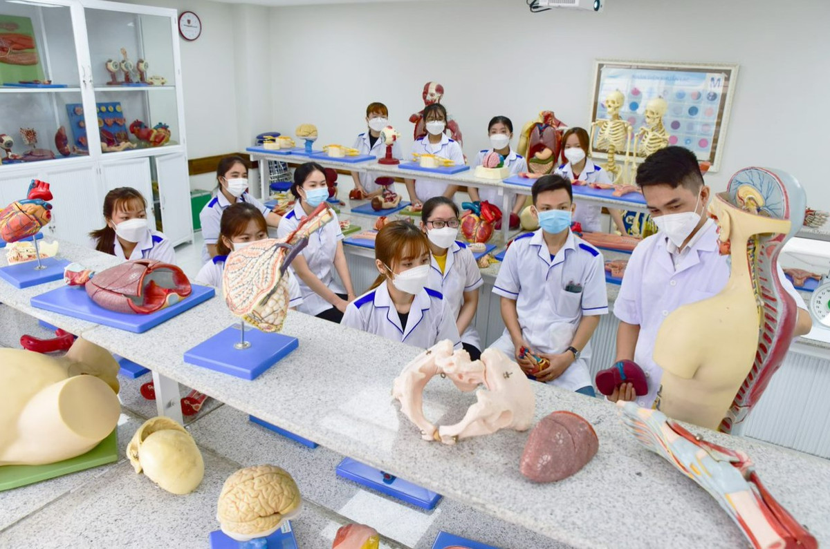 Dao tao nhan luc nganh dieu duong: Cot loi la gioi thuc hanh-Hinh-3