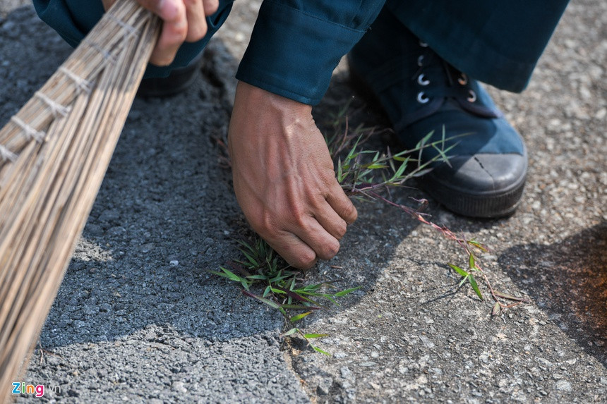 Thậm chí từng ngọn cỏ, từng khóm hoa dại cũng đều cần phải nhổ bỏ sạch sẽ. Nguồn ảnh: Zingnews.