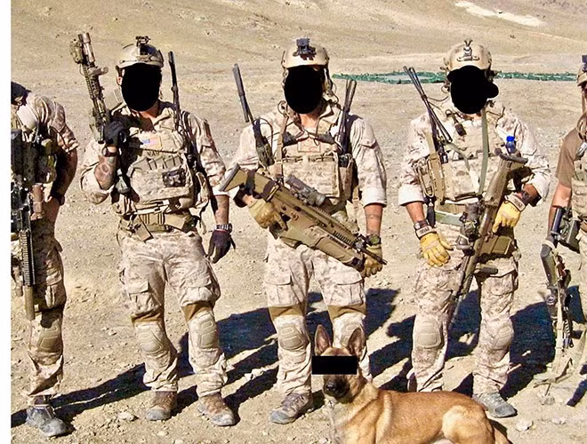 MPC là lực lượng binh khuyển đặc biệt, gắn với hoạt động của các lực lượng đặc nhiệm, ví dụ như hải quân SEALS hay Army Rangers.