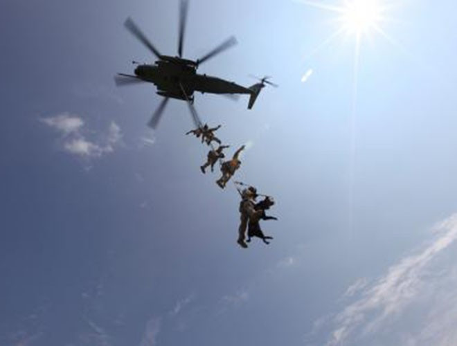 Một khi không thể phục hồi để trở lại nhiệm vụ, những binh khuyển này được chuyển sang nhiệm vụ khác hoặc nghỉ hưu.