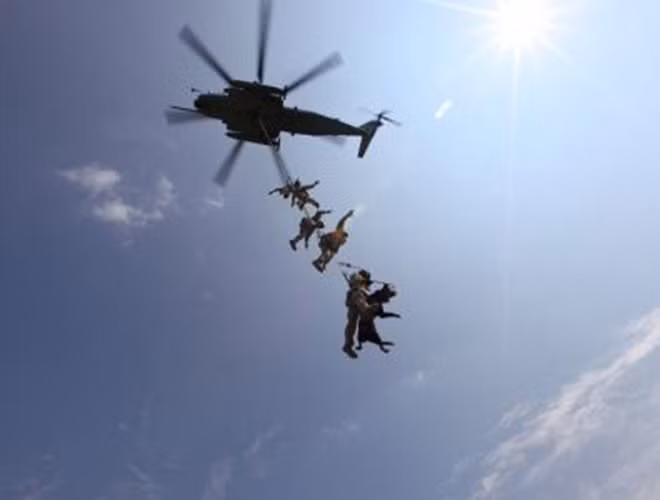 Một khi không thể phục hồi để trở lại nhiệm vụ, những binh khuyển này được chuyển sang nhiệm vụ khác hoặc nghỉ hưu.