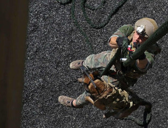 Một chú chó thuộc MPC tên là Cairo đã tham gia hỗ trợ cuộc đột kích tiêu diệt trùm khủng bố Osama bin Laden hồi năm 2011.