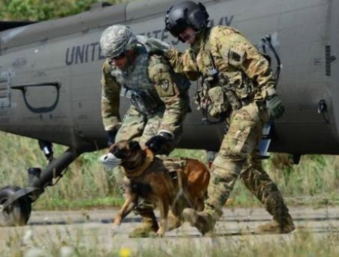 Theo một bài viết trên Bussiness Insider, tác giả Sara Ohlms, một trong những người huấn luyện chó đặc nhiệm của Thủy quân lục chiến Mỹ từ năm 2012 đến 2017 tiết lộ, đội MPC được chọn lựa đặc biệt kỹ càng và huấn luyện khắt khe để có thể xử lý các tình huống căng thẳng nhất mà vẫn giữ được bình tĩnh.