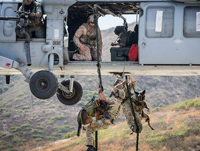 Được huấn luyện để tìm chất nổ, đuổi bắt người, phát hiện các mối nguy tiềm tàng, chó nghiệp vụ còn được học kỹ thuật đổ bộ từ trực thăng, nhảy dù từ máy bay cánh bằng, đổ bộ đường biển bằng xuồng cao su.