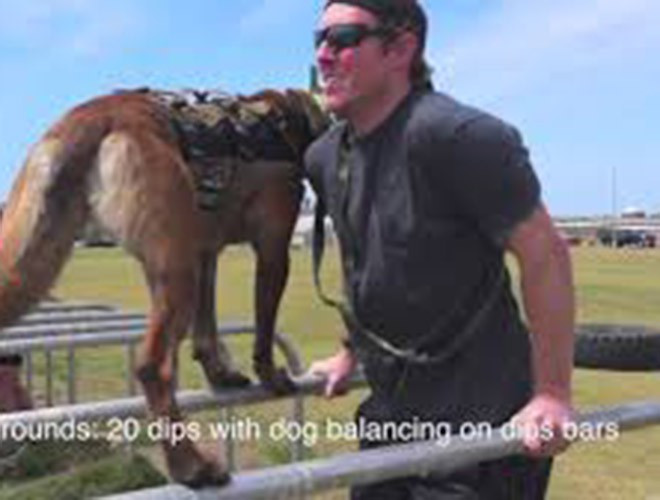 Qua sàng lọc y tế là các đánh giá về tính khí. Trong hơn 10 ngày, những con chó được theo dõi về khả năng tìm kiếm và phát hiện, sự hung dữ và khả năng huấn luyện.