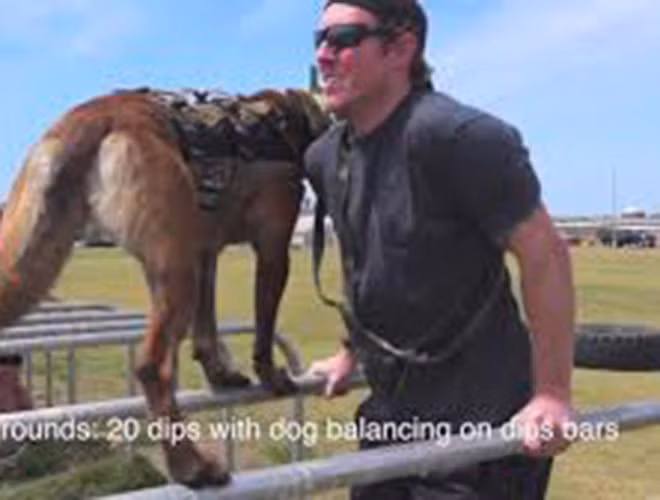 Qua sàng lọc y tế là các đánh giá về tính khí. Trong hơn 10 ngày, những con chó được theo dõi về khả năng tìm kiếm và phát hiện, sự hung dữ và khả năng huấn luyện.