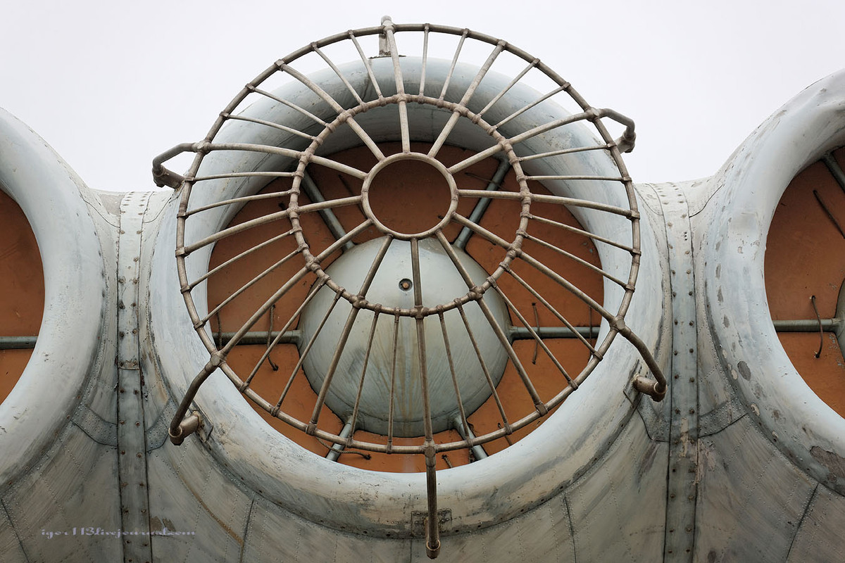 Vì hoạt động ở độ cao thấp, động cơ của loại máy bay này cần lồng chắn để tránh chim chọc hoặc cá nhảy lên chui vào trong làm hỏng động cơ. Nguồn ảnh: Igor113.