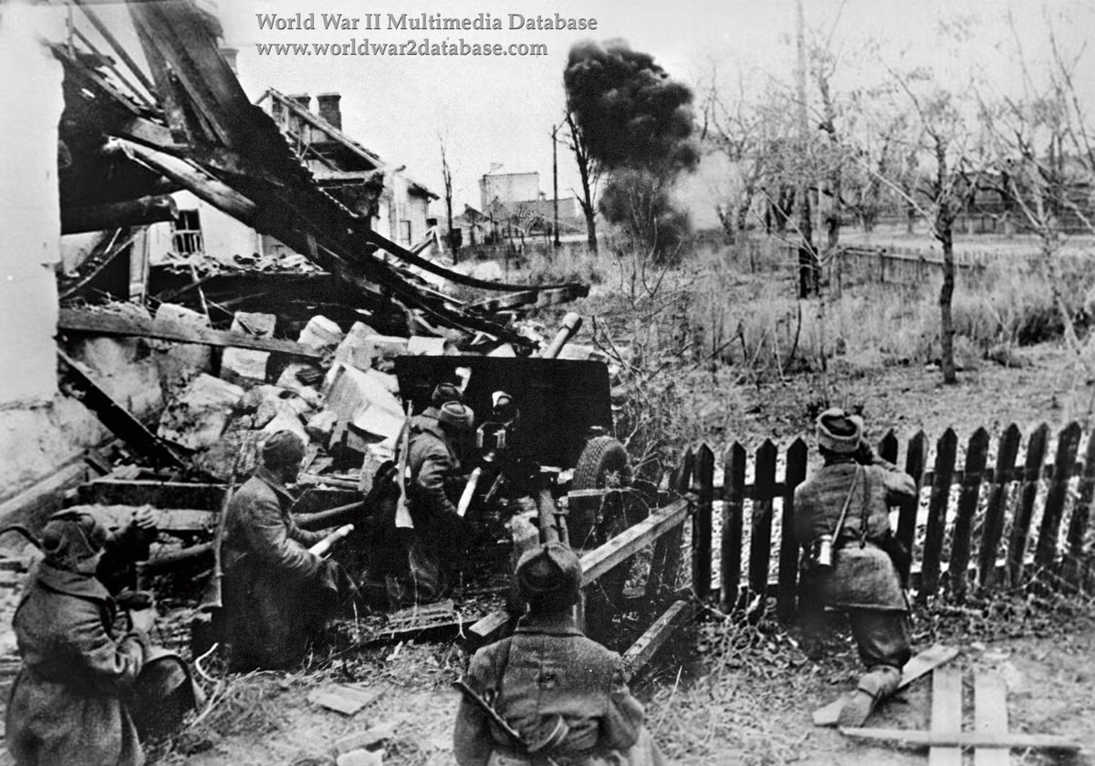 Pháo có cỡ nòng 76mm và được ra đời với nhiệm vụ diệt tăng. Khẩu pháo kéo này có trọng lượng tác chiến chỉ 1,1 tấn, hoàn toàn có thể cơ động trên chiến trường chỉ bằng sức của kíp chiến đấu. Nguồn ảnh: Pinterest.