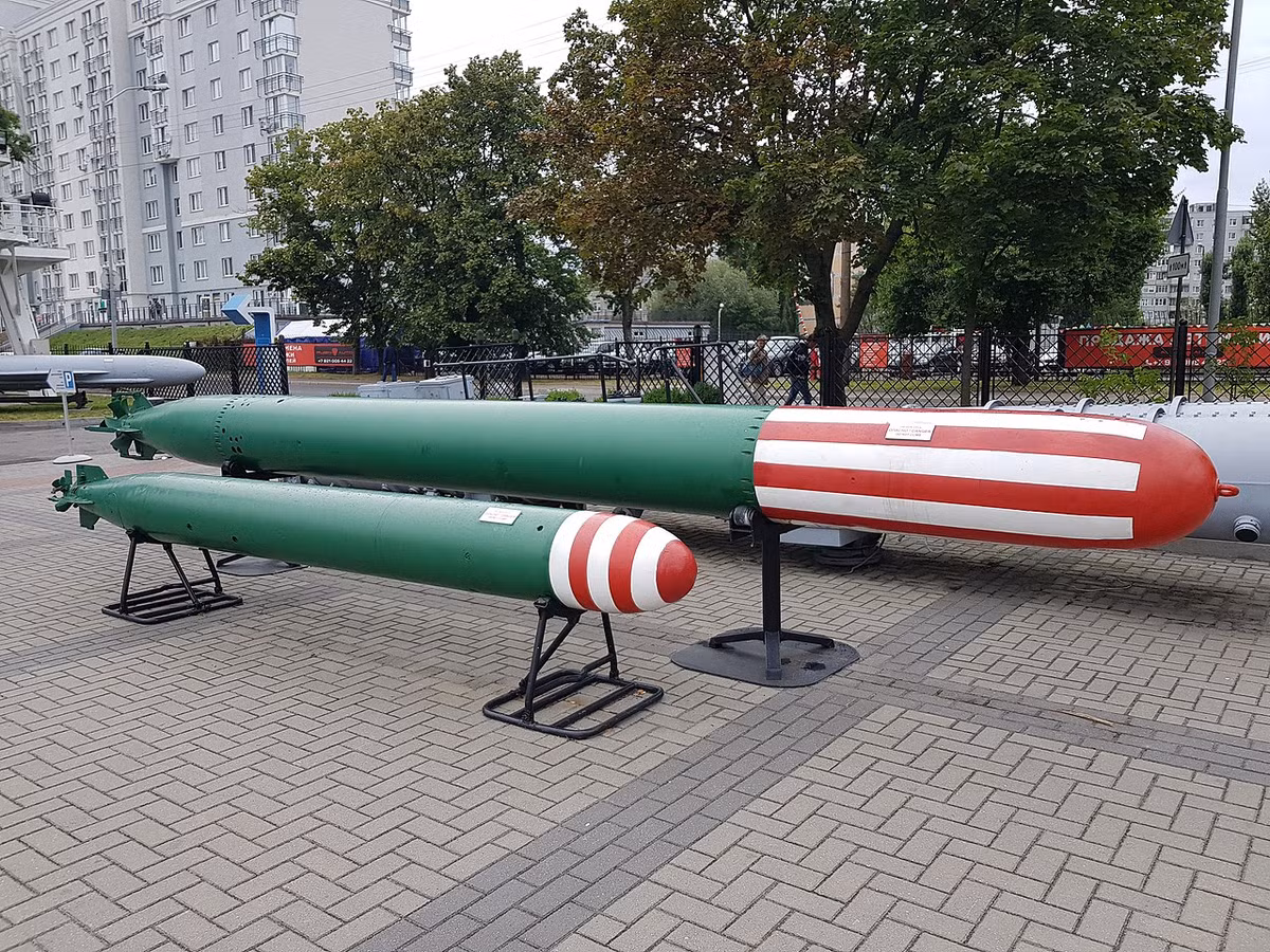 Thậm chí cho tới tận ngày nay, kiểu dò mục tiêu theo chấn động nước vẫn chưa có cách nào để khắc chế. Thế nên, ngư lôi 53-65 dù đã cũ nhưng vẫn được sử dụng với số lượng khá lớn trên khắp thế giới. Nguồn ảnh: Rumil.