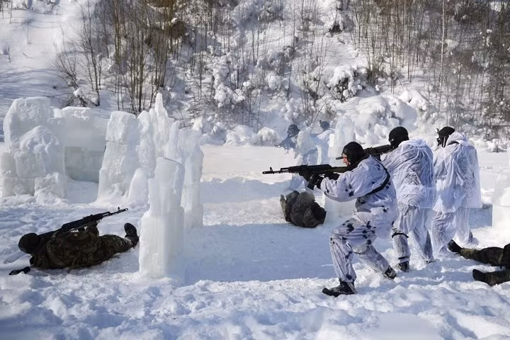 Bất ngờ trồi lên từ nước dưới mặt băng và tấn công mục tiêu.