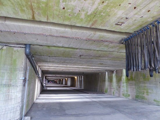 Bên trong căn cứ được xây dựng như một boong-ke và những quả bom nặng nhất của Đồng minh thời bấy giờ cũng không đủ sức làm căn cứ này rung chuyển chứ chưa nói tới chuyện đánh sập nó. Nguồn ảnh: Adviser.