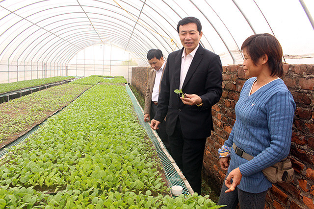 Lãnh đạo Hội ND T.P Hà Nội thăm mô hình trồng rau hữu cơ công nghệ cao của gia đình chị Cuối. Ảnh: Thu Hà Lãnh đạo Hội ND T.P Hà Nội thăm mô hình trồng rau hữu cơ công nghệ cao của gia đình chị Cuối. Ảnh: Thu Hà
