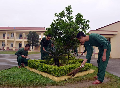 Chăm sóc vườn hoa cây cảnh.