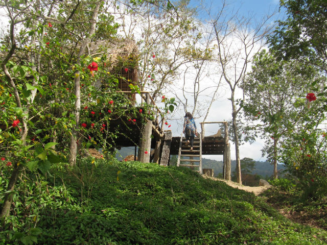 Ngôi nhà sàn ông Long ở trong những ngày luyện tập phương pháp chữa bệnh không cần thuốc ở Trang trại M'drak. (Ảnh do nhân vật cung cấp) Ngôi nhà sàn ông Long ở trong những ngày luyện tập phương pháp chữa bệnh không cần thuốc ở Trang trại M'drak. (Ảnh do nhân vật cung cấp)