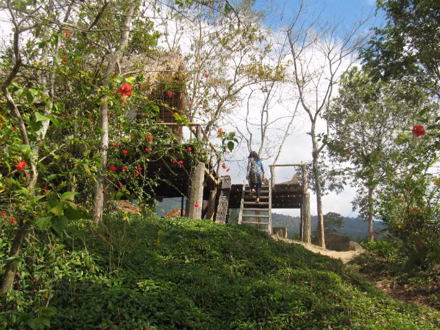 Ngôi nhà sàn ông Long ở trong những ngày luyện tập phương pháp chữa bệnh không cần thuốc ở Trang trại M'drak. (Ảnh do nhân vật cung cấp) Ngôi nhà sàn ông Long ở trong những ngày luyện tập phương pháp chữa bệnh không cần thuốc ở Trang trại M'drak. (Ảnh do nhân vật cung cấp)