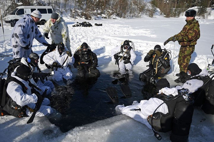Việc lập ra Vệ binh Quốc gia được xem là nỗ lực tăng hiệu quả và tránh chồng chéo trong hệ thống an ninh Nga.