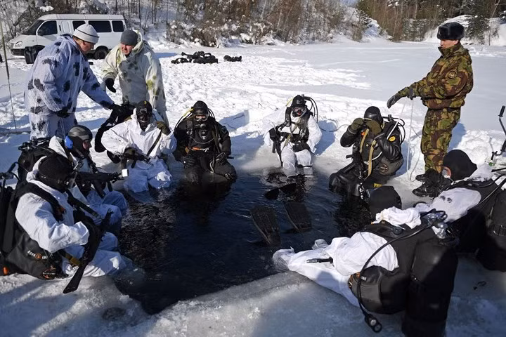 Việc lập ra Vệ binh Quốc gia được xem là nỗ lực tăng hiệu quả và tránh chồng chéo trong hệ thống an ninh Nga.