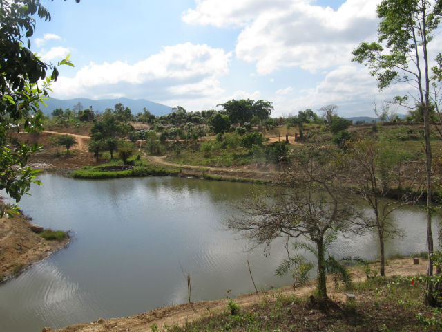 Khu vườn thiêng nhìn từ ngôi nhà sàn tôi ở trong những ngày ở Trang trại M'drak. (Ảnh do nhân vật cung cấp) Khu vườn thiêng nhìn từ ngôi nhà sàn tôi ở trong những ngày ở Trang trại M'drak. (Ảnh do nhân vật cung cấp)