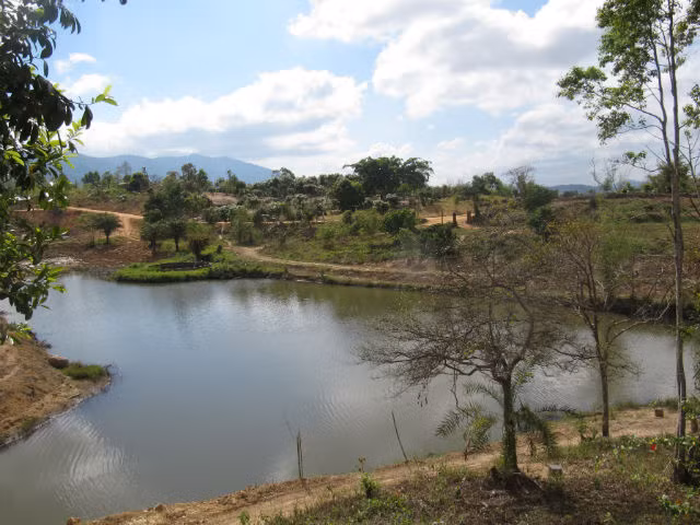 Khu vườn thiêng nhìn từ ngôi nhà sàn tôi ở trong những ngày ở Trang trại M'drak. (Ảnh do nhân vật cung cấp) Khu vườn thiêng nhìn từ ngôi nhà sàn tôi ở trong những ngày ở Trang trại M'drak. (Ảnh do nhân vật cung cấp)