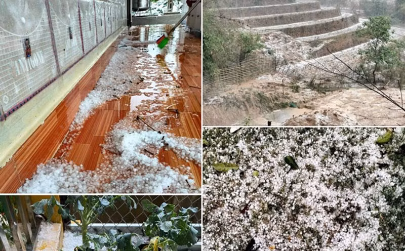 Tại Phú Thọ, trưa cùng ngày, trên địa bàn huyện Hạ Hòa xảy ra mưa đá và giông bão. Ban chỉ huy phòng chống thiên tai và tìm kiếm cứu nạn huyện Hạ Hòa cho biết, trận mưa lớn kéo dài hơn 1 giờ kèm theo mưa đá và giông bão xảy trên địa bàn các xã, thị trấn đã làm tốc mái 286 nhà dân, 2 trường học, 2 nhà văn hóa, hư hỏng 9 nhà xưởng. Tại nhiều xã, diện tích cây cối, hoa màu bị gió mạnh làm gãy đổ, ước tính thiệt hại trên 180 ha cây hoa màu (ngô, rau và cây chuối). Mưa bão cũng đã làm đổ 143 ha cây diện tích cây lâm nghiệp của huyện và đổ một số hệ thống tường rào, cột điện dân sinh. 