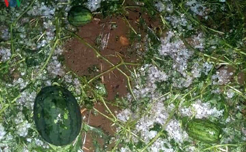 Ngày 29/3, lãnh đạo UBND thị trấn Lao Bảo (huyện Hướng Hóa, tỉnh Quảng Trị) cho biết, trên địa bàn vừa xuất hiện một trận mưa đá vào khoảng 16h và kéo dài chừng 10 phút. Khối lượng hạt mưa đá phổ biến bằng khoảng ngón tay trỏ người lớn. Thống kê ban đầu, trận mưa đá đã khiến 3 ngôi nhà tại thị trấn Lao Bảo và nhiều cây xanh bị hư hỏng. Trước đó, vào ngày 28/3 tại thị trấn Lao Bảo cũng xảy ra một trận lốc xoáy kèm theo mưa lớn khiến hàng chục ngôi nhà, cây xanh… bị hư hại. 