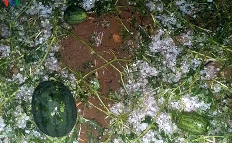 Ngày 29/3, lãnh đạo UBND thị trấn Lao Bảo (huyện Hướng Hóa, tỉnh Quảng Trị) cho biết, trên địa bàn vừa xuất hiện một trận mưa đá vào khoảng 16h và kéo dài chừng 10 phút. Khối lượng hạt mưa đá phổ biến bằng khoảng ngón tay trỏ người lớn. Thống kê ban đầu, trận mưa đá đã khiến 3 ngôi nhà tại thị trấn Lao Bảo và nhiều cây xanh bị hư hỏng. Trước đó, vào ngày 28/3 tại thị trấn Lao Bảo cũng xảy ra một trận lốc xoáy kèm theo mưa lớn khiến hàng chục ngôi nhà, cây xanh… bị hư hại. 