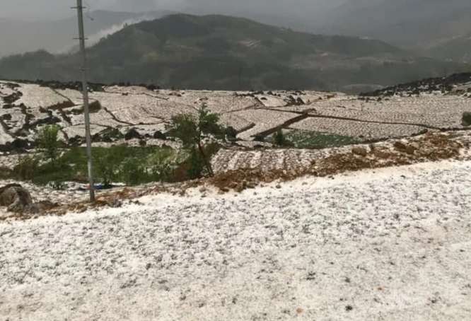 Khoảng 18h cùng ngày, trên địa bàn xã Vần Chải, huyện Đồng Văn (tỉnh Hà Giang) và một số xã lân cận xảy ra tình trạng mưa đá. Trận mưa đá kéo dài khoảng 30 phút đã tàn phá một số hoa màu của người dân. Rất may không có thiệt hại về người. Một số người dân chia sẻ, mưa đá xảy ra trên diện rộng, kích thước viên đá từ 0,5 đến 0,8cm.