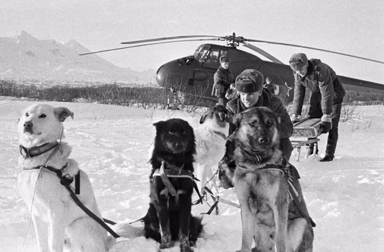 Hệ động vật ở đây bao gồm 500 loài cá, 300 loài chim và hơn 90 loài động vật có vú.