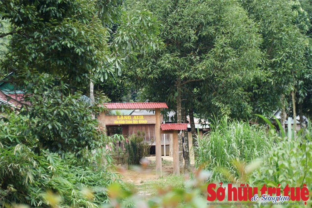 Dieu thu vi o ngoi lang khong song dien thoai, khong dong co-Hinh-6