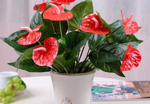 Dat 3 thu nay len ban tho Than Tai dung canh ba, lam an phat dat-Hinh-4