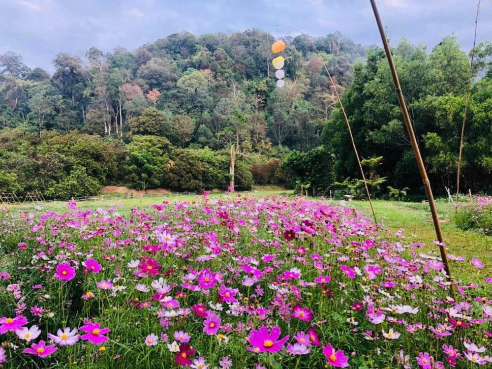 Binh Thuan: Loi the phat trien du lich “xanh”, gan gui thien nhien-Hinh-2