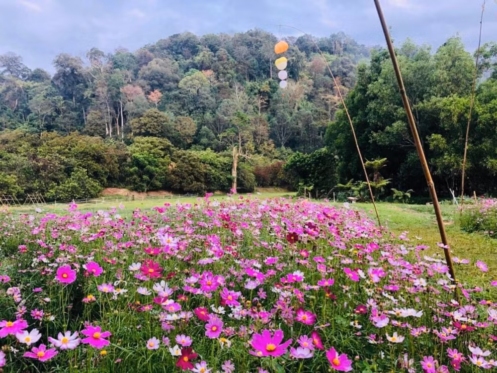 Binh Thuan: Loi the phat trien du lich “xanh”, gan gui thien nhien-Hinh-2