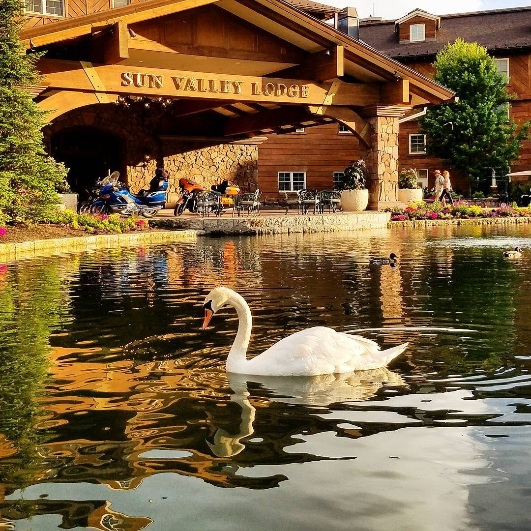 Diễn ra từ 11 đến 16/7 năm nay, hội nghị vốn còn được biết đến với tên gọi “Trại hè tỷ phú” từng ghi nhận những thương vụ tỷ đô đình đám như vụ sáp nhập Comcast và NBC Universal. Đường vào khu đô thị được thiết kế rất gần gũi thiên nhiên. Ảnh: Instagram.