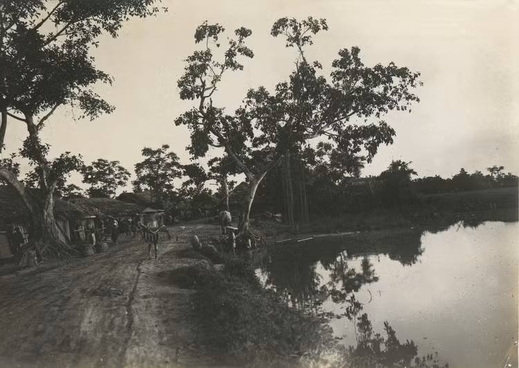 Một con đường ở vùng nông thôn Hà Nội.