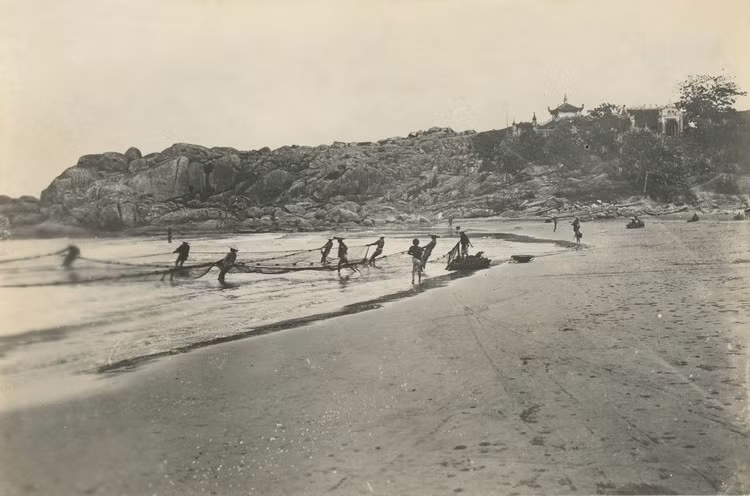 Ngư dân kéo lưới ở bãi biển Đồ Sơn, Hải Phòng.