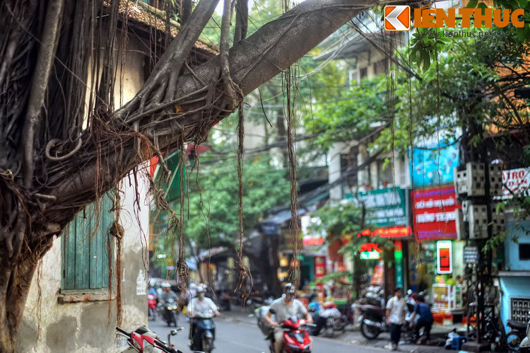 Một số hình ảnh khác về phố Hàng Than.