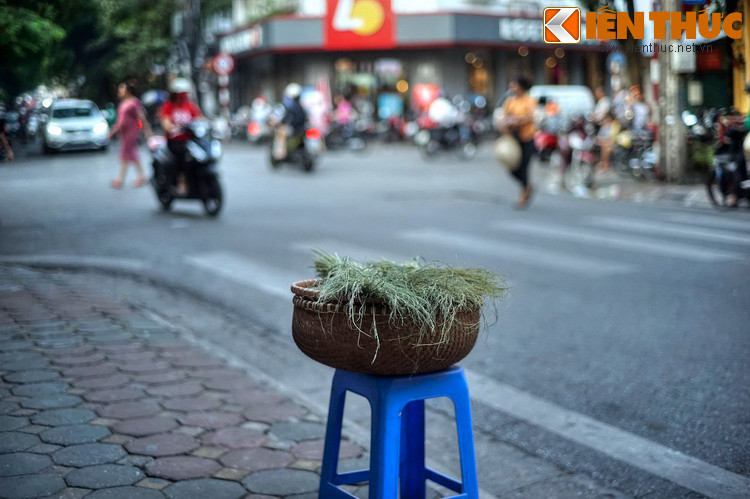 Tên phố Hàng Than bắt nguồn từ việc nơi đây xưa kia tập trung những nhà bán than, than hoa và than tàu. Trước đó phố này có nghề nung vôi, thời mà sông Cái còn ở sát chỗ chân đê ngày nay và phố một bến sông, thuận tiện cho việc cung ứng đá cho các lò vôi.