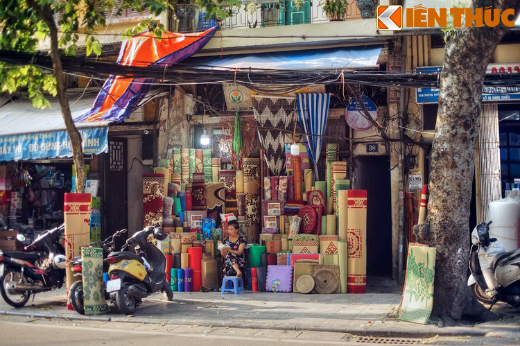 Các chủng loại chiếu ở phố Hàng Chiếu ngày nay phong phú hơn xưa rất nhiều. Bên cạnh chiếu cói kiểu truyền thống còn có các loại chiếu mới như chiếc nhựa, chiếu tre, chiếu hạt gỗ...