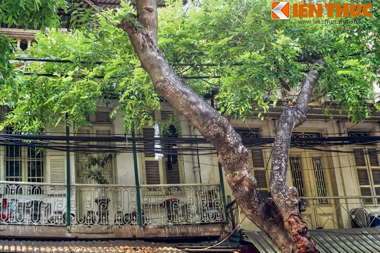 Một số hình ảnh khác về phố Hàng Chiếu.