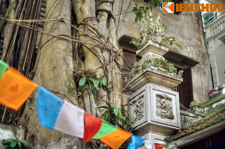 Trong sân chùa có một cây si cổ thụ khá lớn.