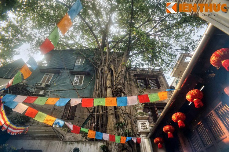 Theo các sử liệu cũ, xia kia đây vốn là đình Vĩnh Trù, sau chuyển thành đền. Vào thời Pháp thuộc, một phụ nữ Việt Nam là vợ của một sĩ quan Pháp xin tu sửa lại nơi này chùa thờ Phật.