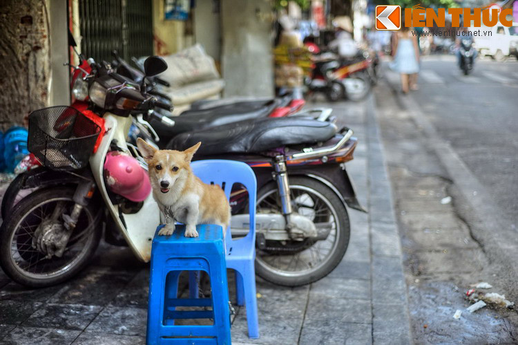 Điều này phù hợp với vị trí của phố vì cho tới năm 1889, phố Nguyễn Siêu, Ngõ Gạch vẫn là lòng sông Tô Lịch, nên phố Hàng Buồm là dãy phố dọc bờ Nam sông Tô.